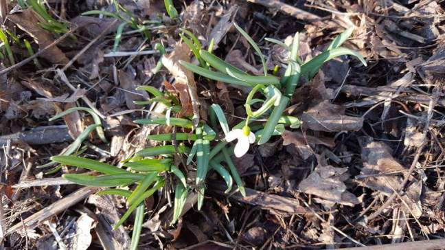 FB_IMG_1459185462299