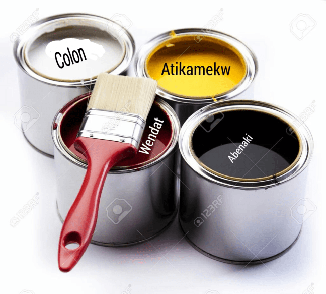 metis in nations.png